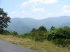 DSC00003.jpg
