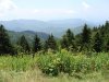 DSC00005.JPG