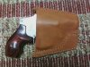 pocket holster.jpg