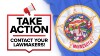 mn-take-action-flag-is987283962.jpg