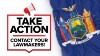 ny-take-action-flag-is987310522.jpg