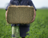 easy-to-carry-good-to-go-compact-lucerne-hay-bale.png
