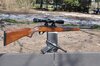 Winchester 490 & Ruger MK II.jpg