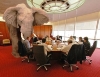 2-10-14-the-elephant-in-the-room2.jpg