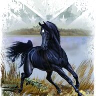 Charlie Horse