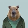 Capybara