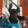 brunowbe