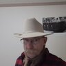 catnthehat