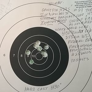 44 Magnum Hard Alloy. @ 25 yards.