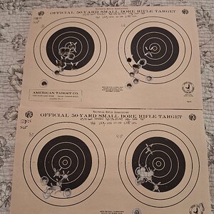 45-70, N120- All 40 shots, 50yrd, peeps