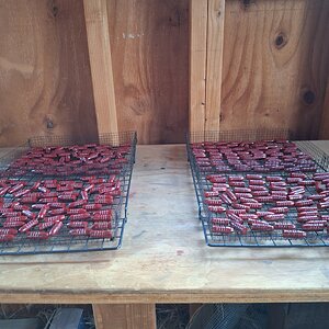 379-284-FN-AW5 Hitek Coating