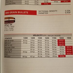 Hornady 300gr HP Trapdoor.jpg