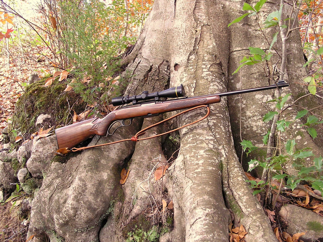 Winchester-M88-284-WIN-11-21-09.jpg