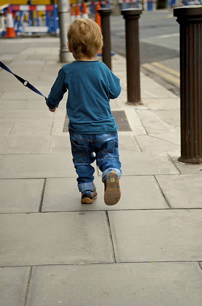 child-on-a-leash-walking-in-sidewalk-picture-id524771851