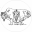 allaboutbison.com