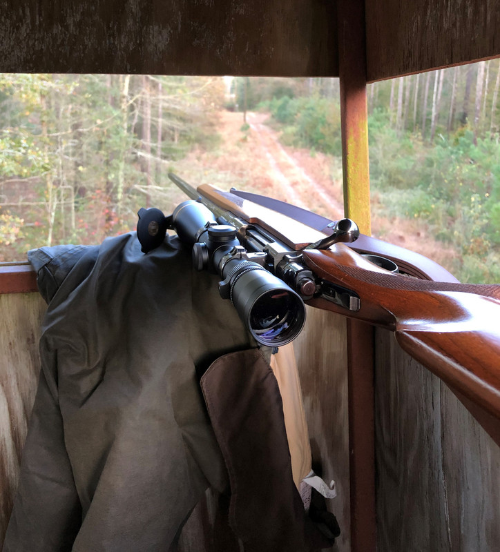 Ruger-M77-on-the-powerline.jpg