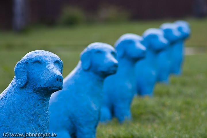 blue-dog-3.jpg